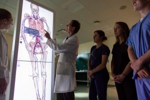 pre-med students shadowing physicians